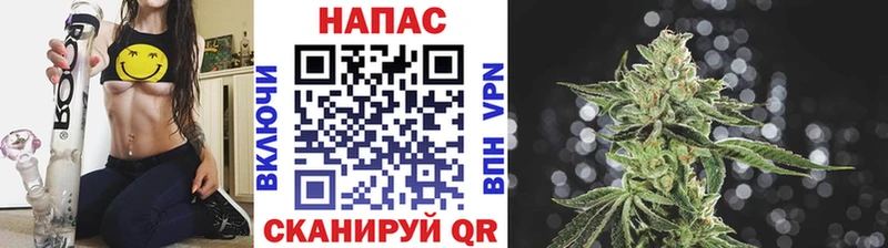 Шишки марихуана марихуана Дорогобуж